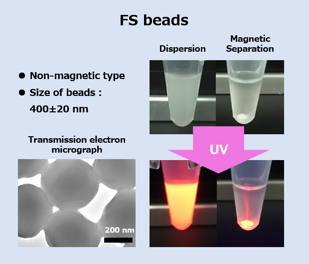 Comparison of FF beads and FS beads