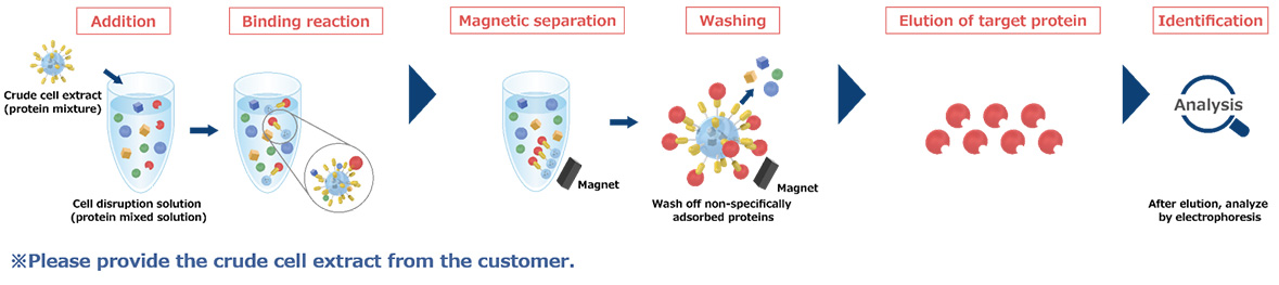 Purification of ligand-binding protein